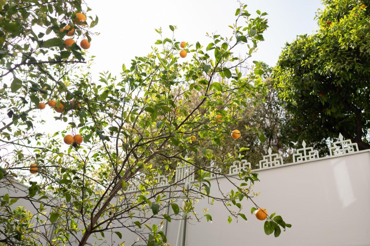 Casa Blue Dove Apartment Chania  ภายนอก รูปภาพ