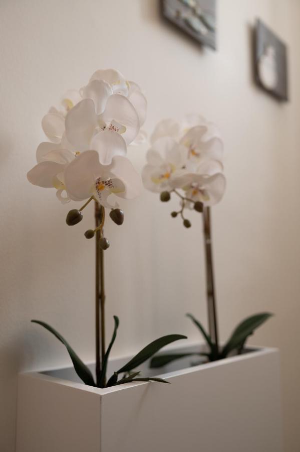 Casa Blue Dove Apartment Chania  ภายนอก รูปภาพ